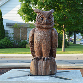 Gene's Friend (Barred Owl)